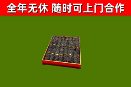 阿克塞回收海参